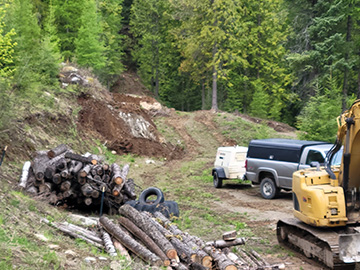 Tree management